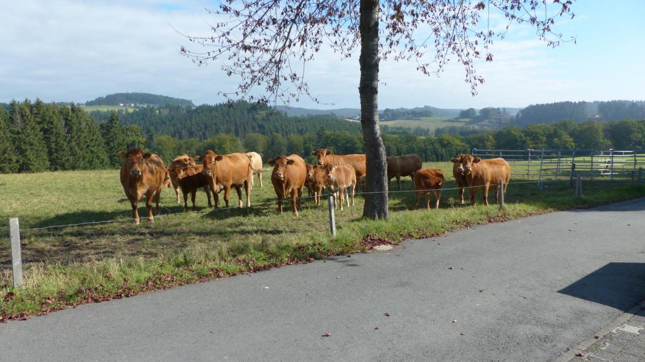 Aussichtsbauernhofpension Hof Gretchens Winterberg Eksteriør billede