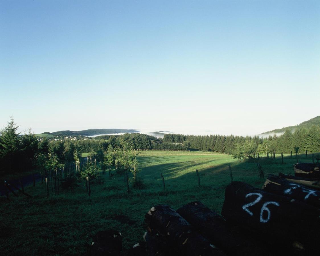 Aussichtsbauernhofpension Hof Gretchens Winterberg Eksteriør billede