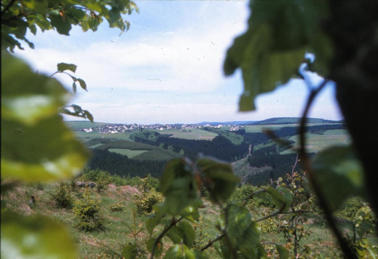 Aussichtsbauernhofpension Hof Gretchens Winterberg Eksteriør billede